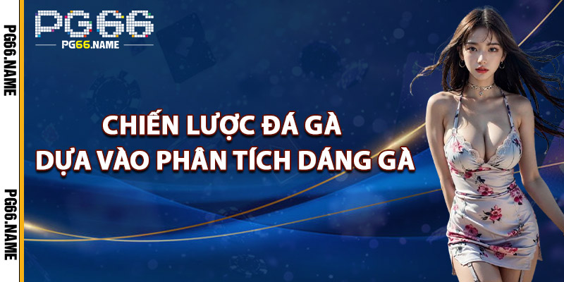 Chiến Lược Đá Gà Dựa Vào Phân Tích Dáng Gà
