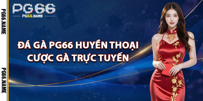 Đá Gà PG66 Huyền Thoại Cược Gà Trực Tuyến