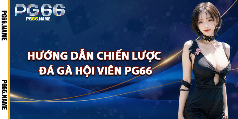 Hướng Dẫn Chiến Lược Đá Gà Cho Hội Viên PG66