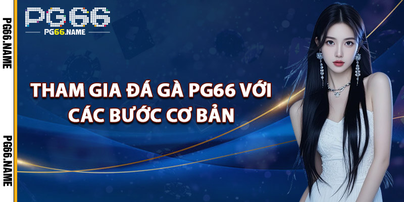 Tham Gia Đá Gà PG66 Với Các Bước Cơ Bản