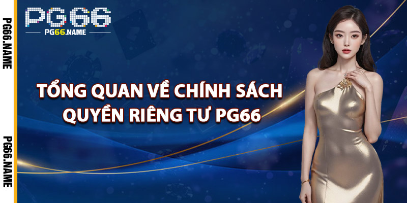 Tổng Quan Về Chính Sách Quyền Riêng Tư PG66